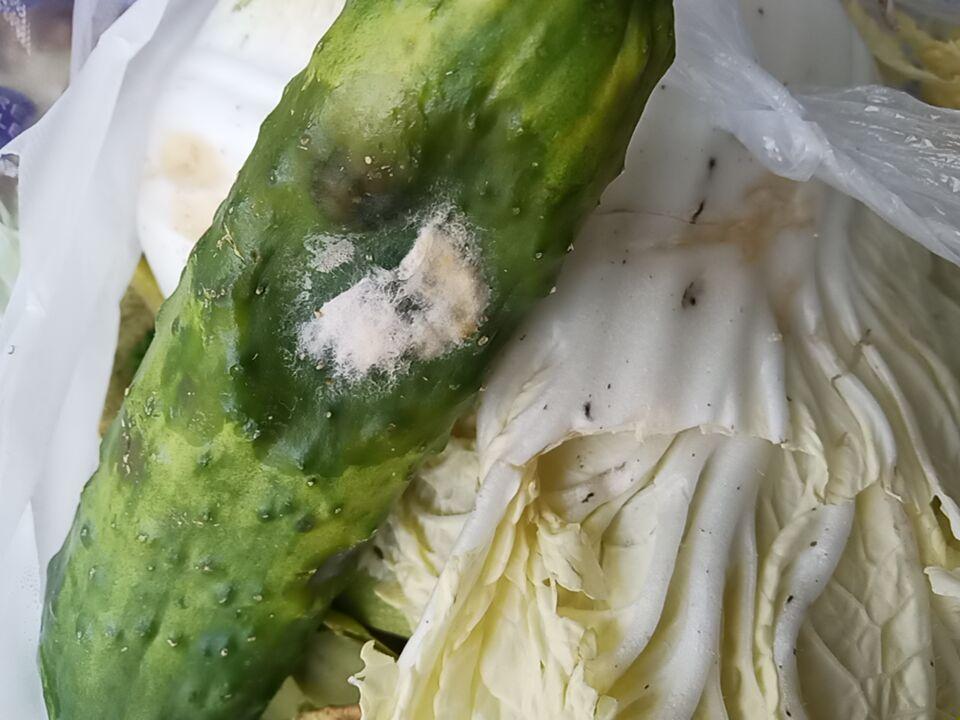 我是个挺败家的铺张浪费的人，前一段时间我看着超市里有卖的便宜的黄瓜，才一块钱一斤