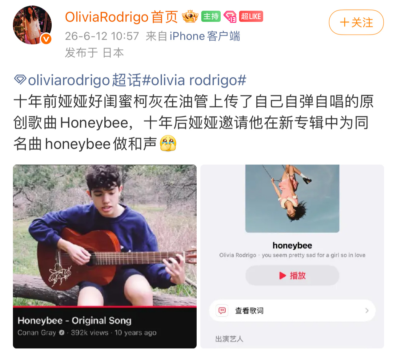 Honeybee概念本身歌星友谊 
