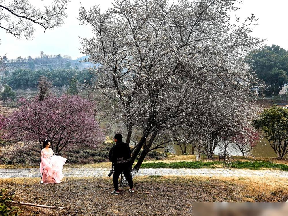 深耕心理学多年，他发现人性只剩阴、蠢、坏。

一个阅人无数的顶级心理专家选择闭嘴