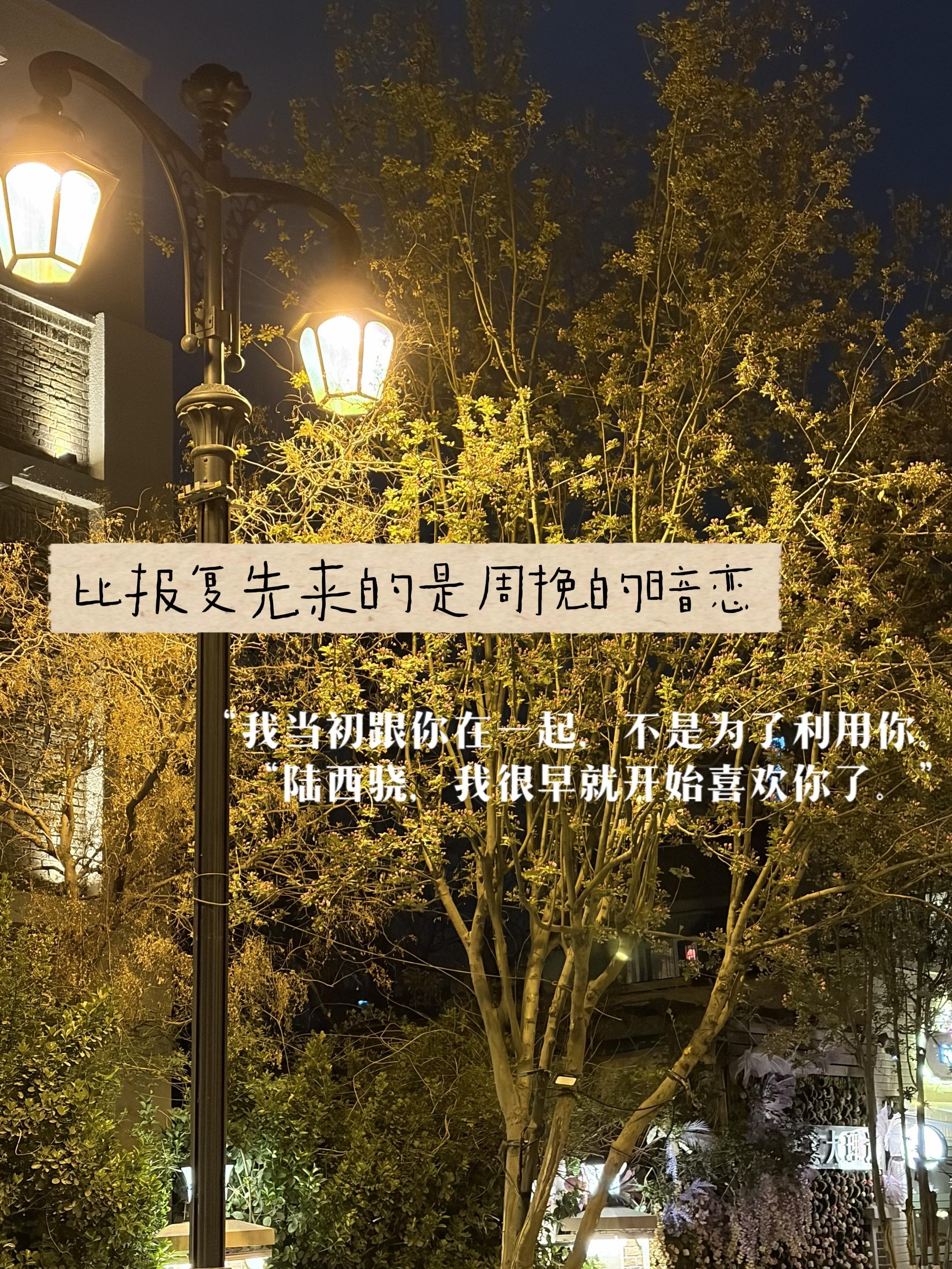 周挽陆西骁