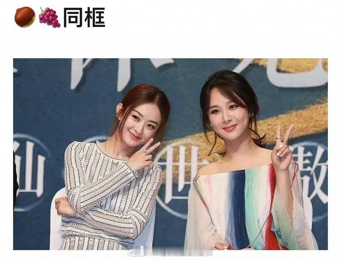 #赵丽颖杨紫cp名糖炒丽紫#我嘞个豆啊？！没想到在杨紫和赵丽颖一同出演了电视剧《