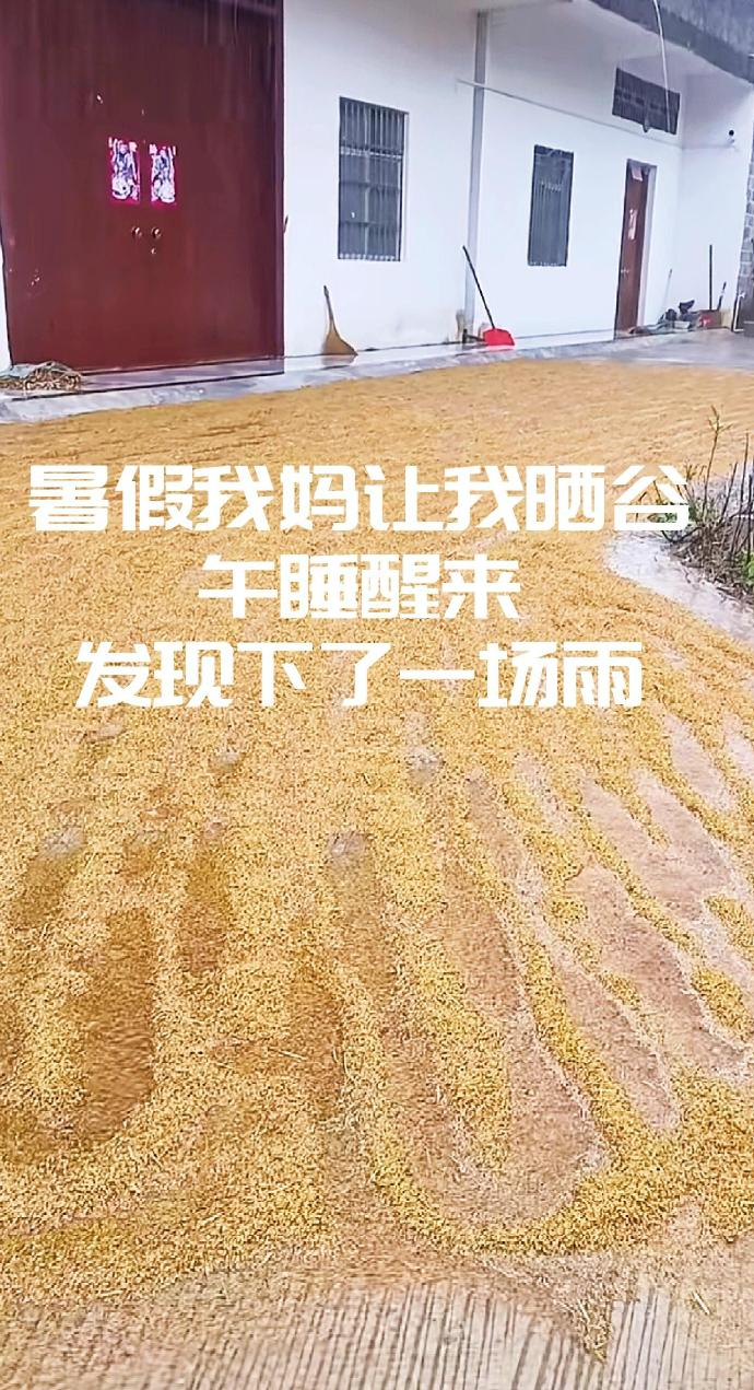 准备好上农村最高军事法庭吧 ​​​