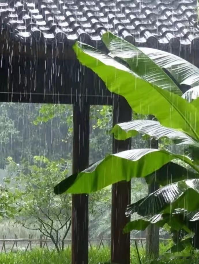 渔歌子·浅夏（词林正韵）
风雨初晴鸟歌娇。榴红香楝绿芭蕉。
青杏小，紫樱桃。一帘
