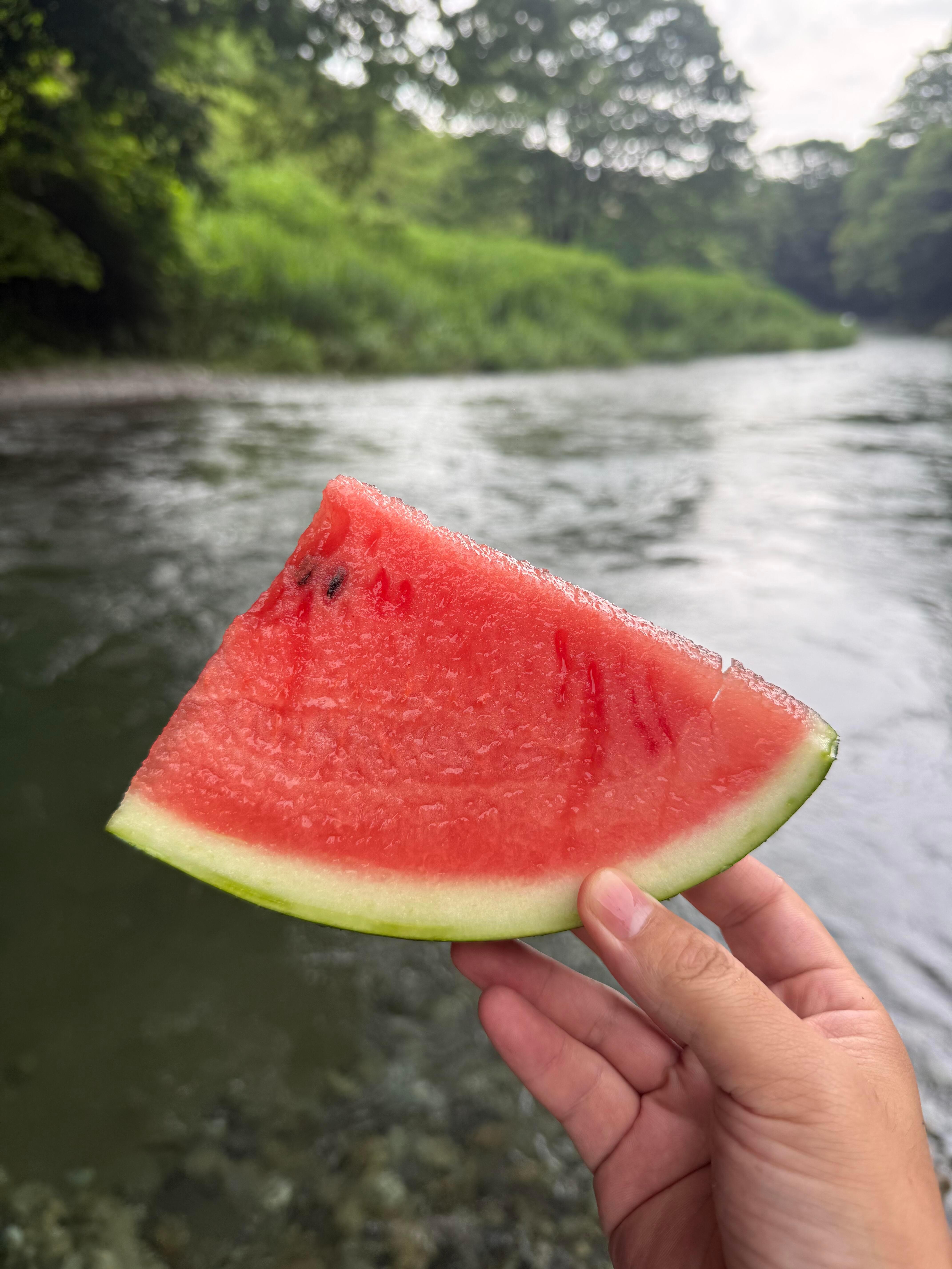 把城市里的闷热和食欲,都交给这方寸之间的溪流与炭火。 