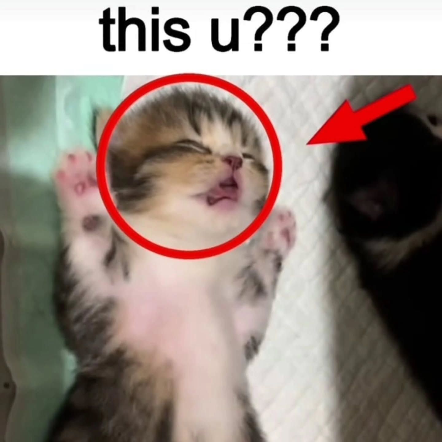 这是你吗？ 