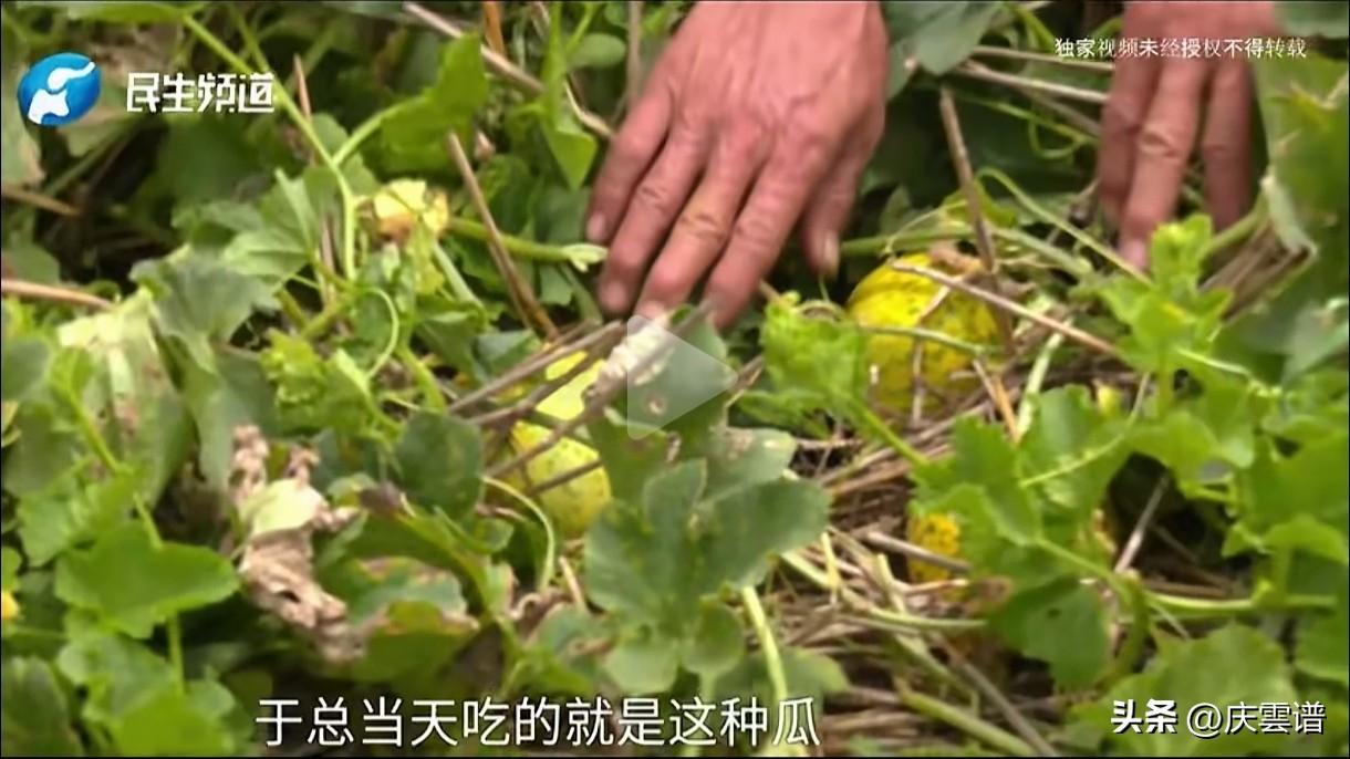 于东来就是严选届的慈父！搞带货的博主都应该感谢于东来退休之后没有自己搞直播，要感