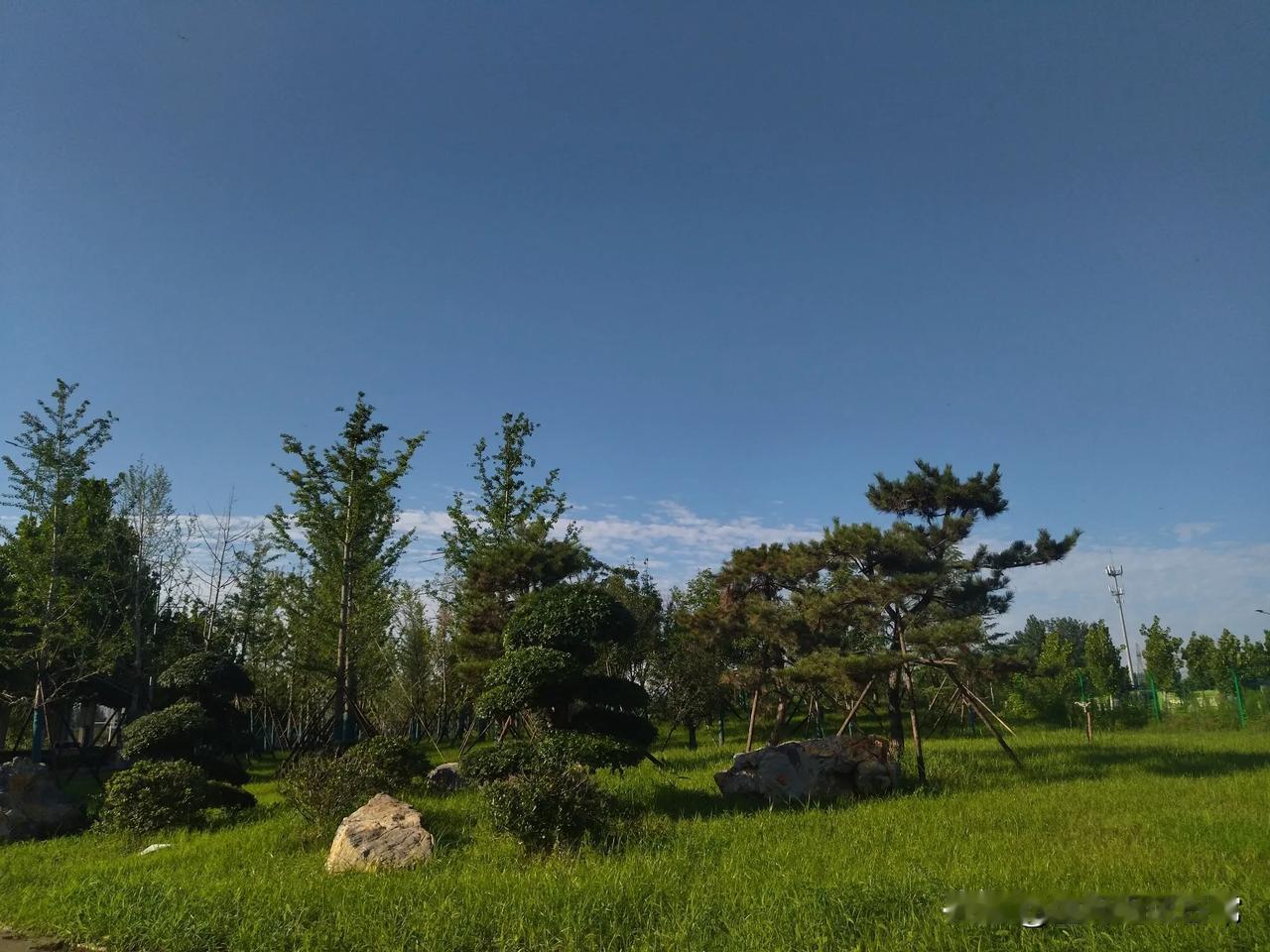 #夏日生活打卡季#
眼因流多泪水而愈益清明，心因饱经忧患而愈益温厚。经过大雨的洗