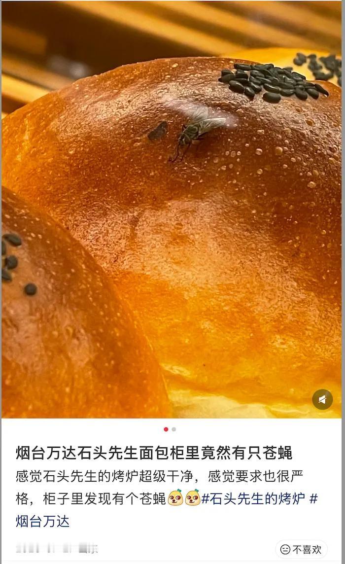 “顾客天塌了！”1月5日，山东济南，一女子去买面包，突然发现面包柜上有只苍蝇，正
