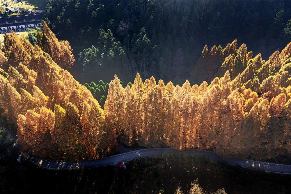 读《近思录》之2.90　

将修己，必先厚重以自持。厚重知学，德乃进而不固矣。忠