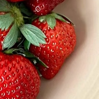 草莓种植1. 时间：春秋栽种，15-25℃最佳2. 土壤：疏松微酸土，加有机肥，