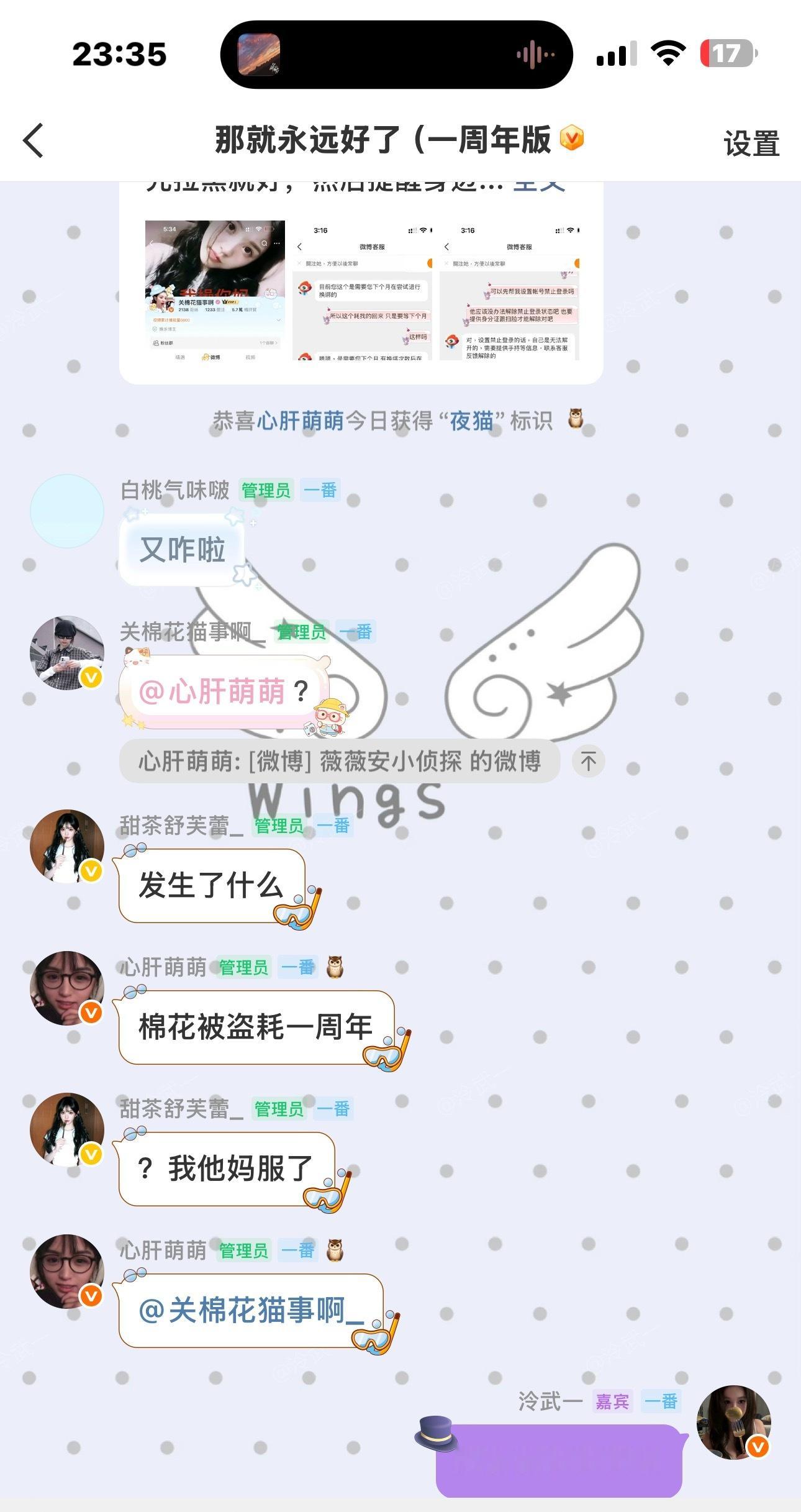 棉花猫大号被盗一周年 所有人默哀三秒