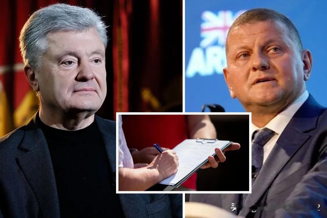 扎卢日尼的政党和波罗申科在乌克兰人支持度中位居首位：民调结果


扎卢日内的政党