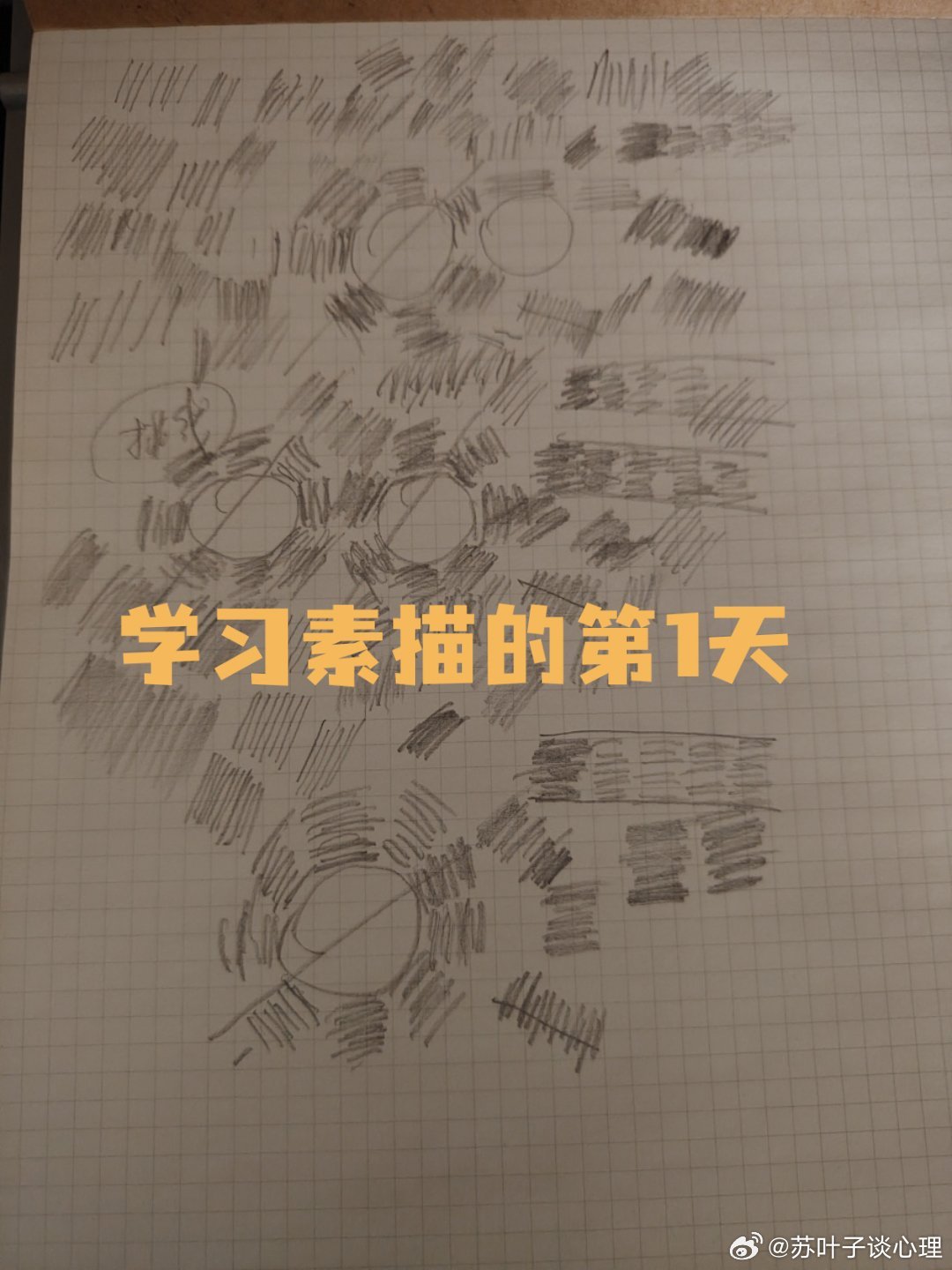 为了为自己的养老生活培养点精神寄托，我一定要找点事情干，干点啥呢！？我想如果能够