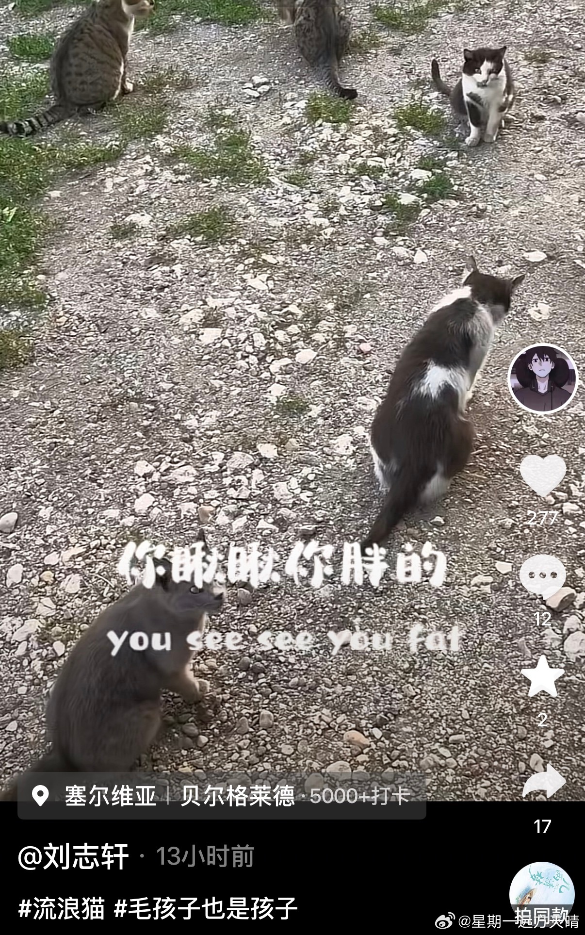 辽宁男篮刘志轩 轩哥去塞尔维亚了～辽宁男篮