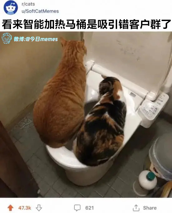 该翻面了（9gag）今日meme[超话] 今日memes ​​​