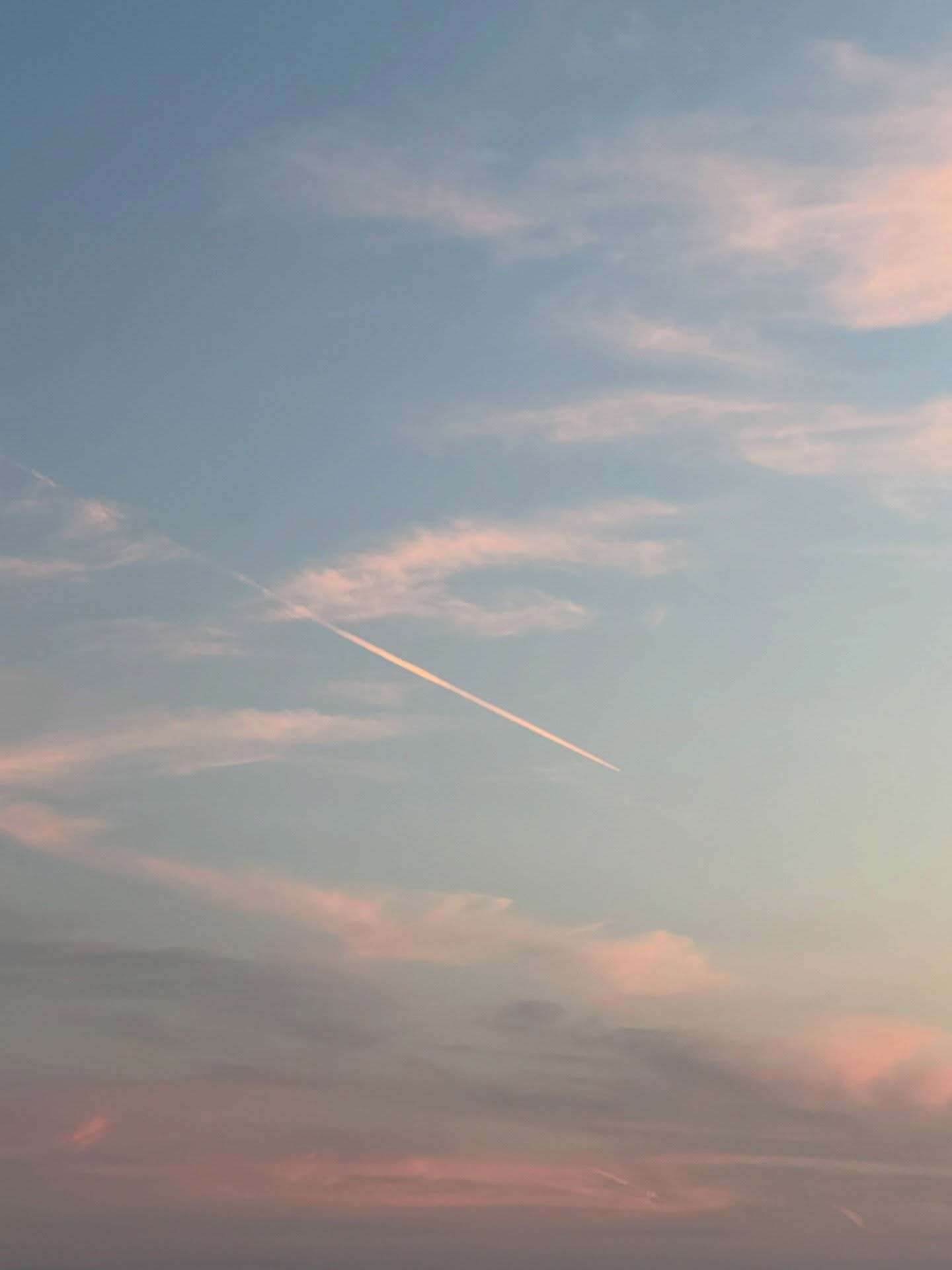 渡辺梨加「春うれしい🪷ピクニックしたよ🧺🪿」 