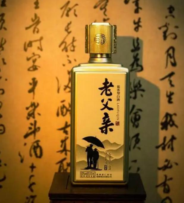 每次回家前，她都习惯性询问父亲是否需要什么，而父亲总是让她别浪费钱。

因此，她