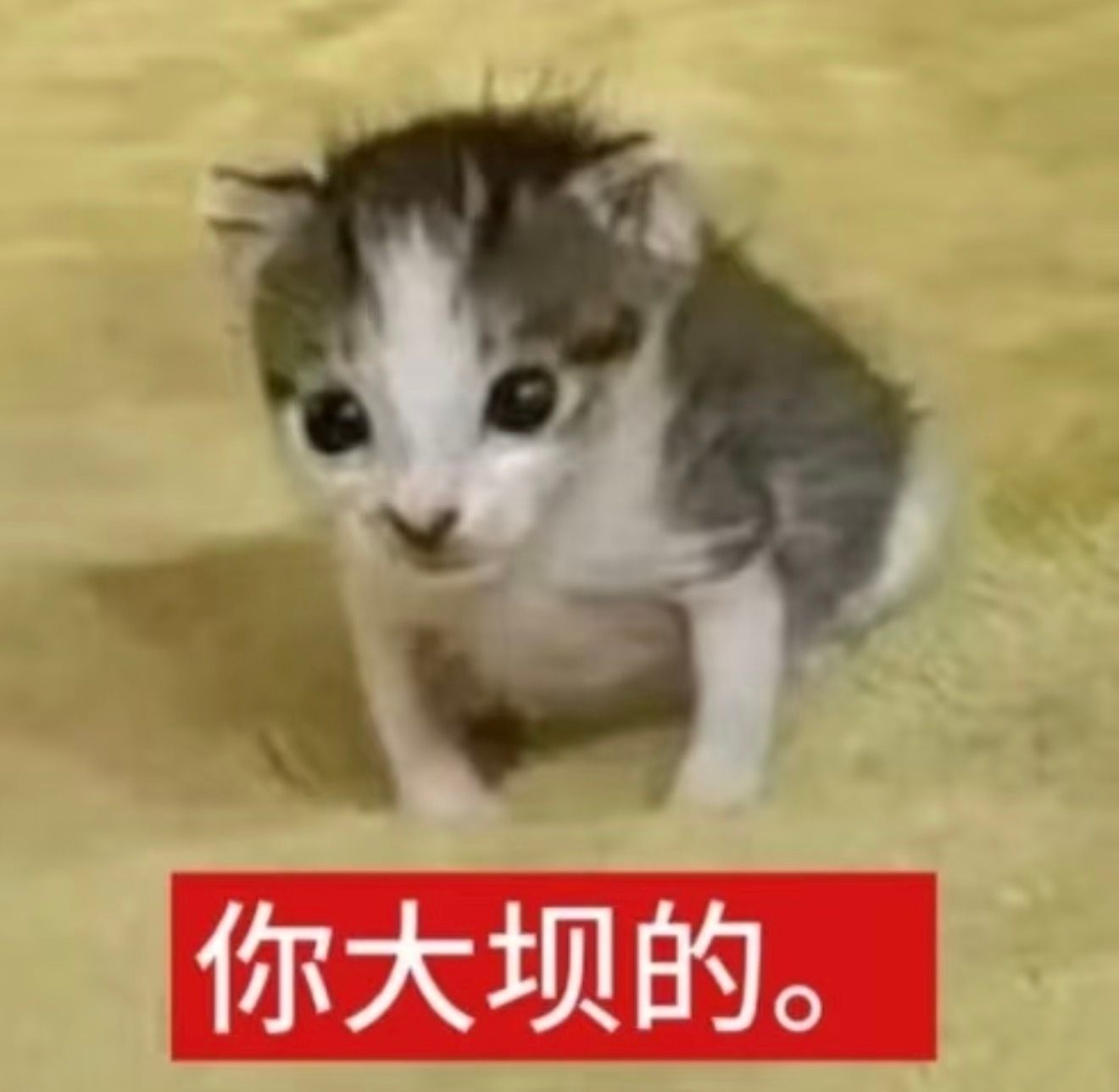 五一节中机票价格大跳水这个令人绝望的“节中”
