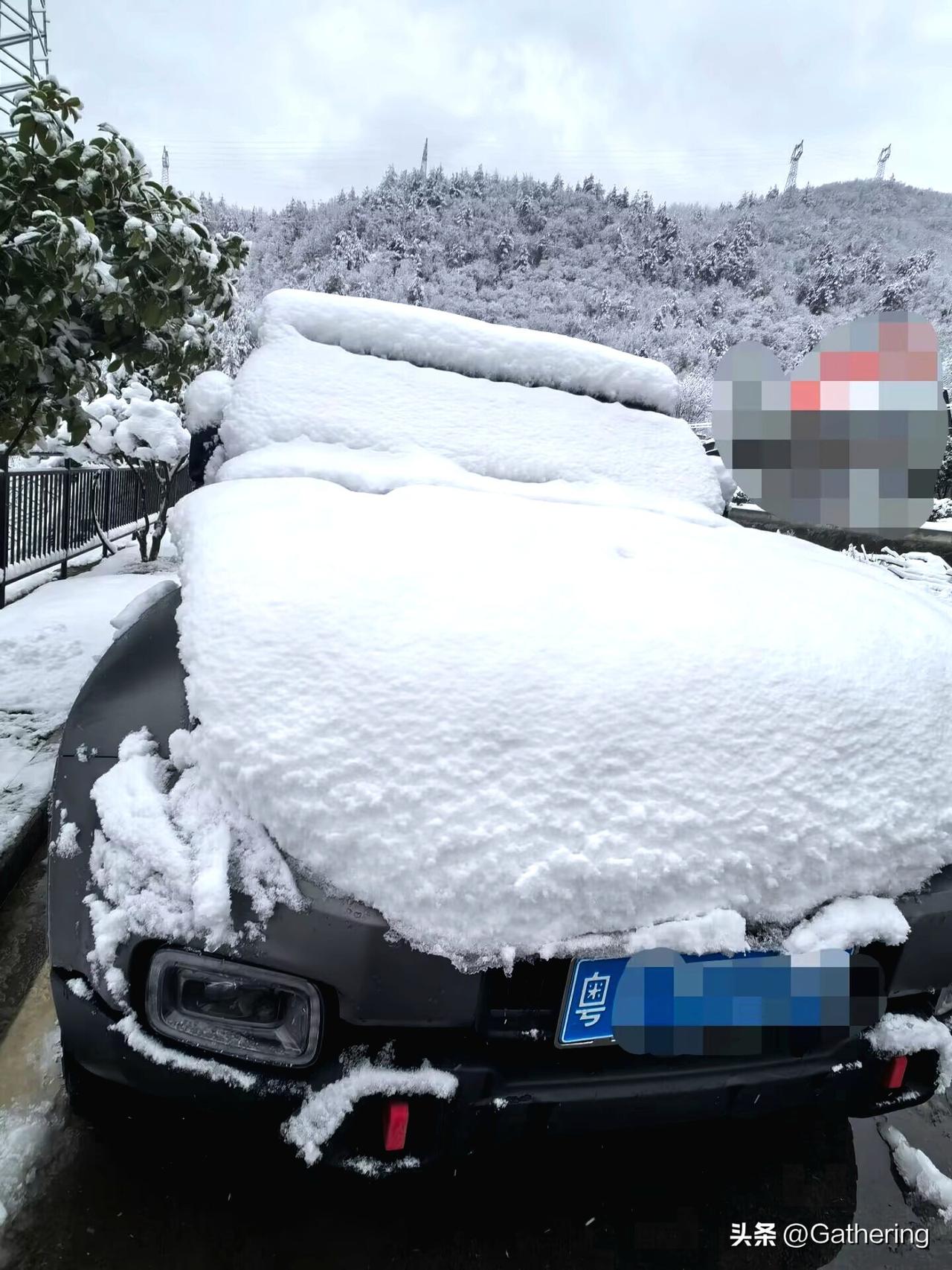 希望这场油价变革能让某些国产车企们的脑子转过来，尤其是服务这一块（别再为难那些讲