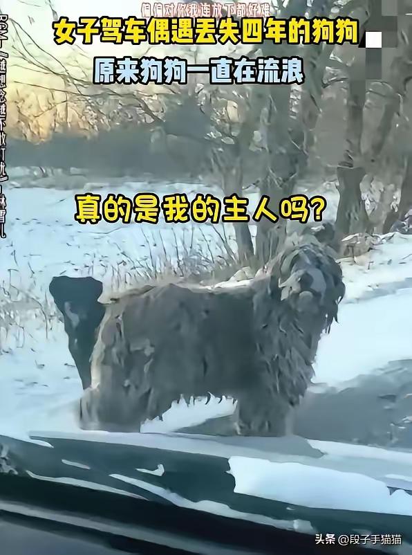 久别的孩子找到妈
眼里全是不敢相信的相号
妈妈全是心痛拉满，泪流满面
女子在几百