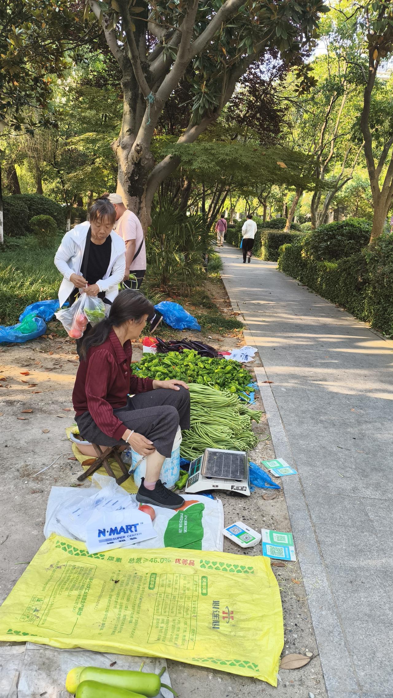 看《给阿嬷的情书》写时代回望日子再穷，也不要挂在嘴边，因为没有人无故给你钱；工作