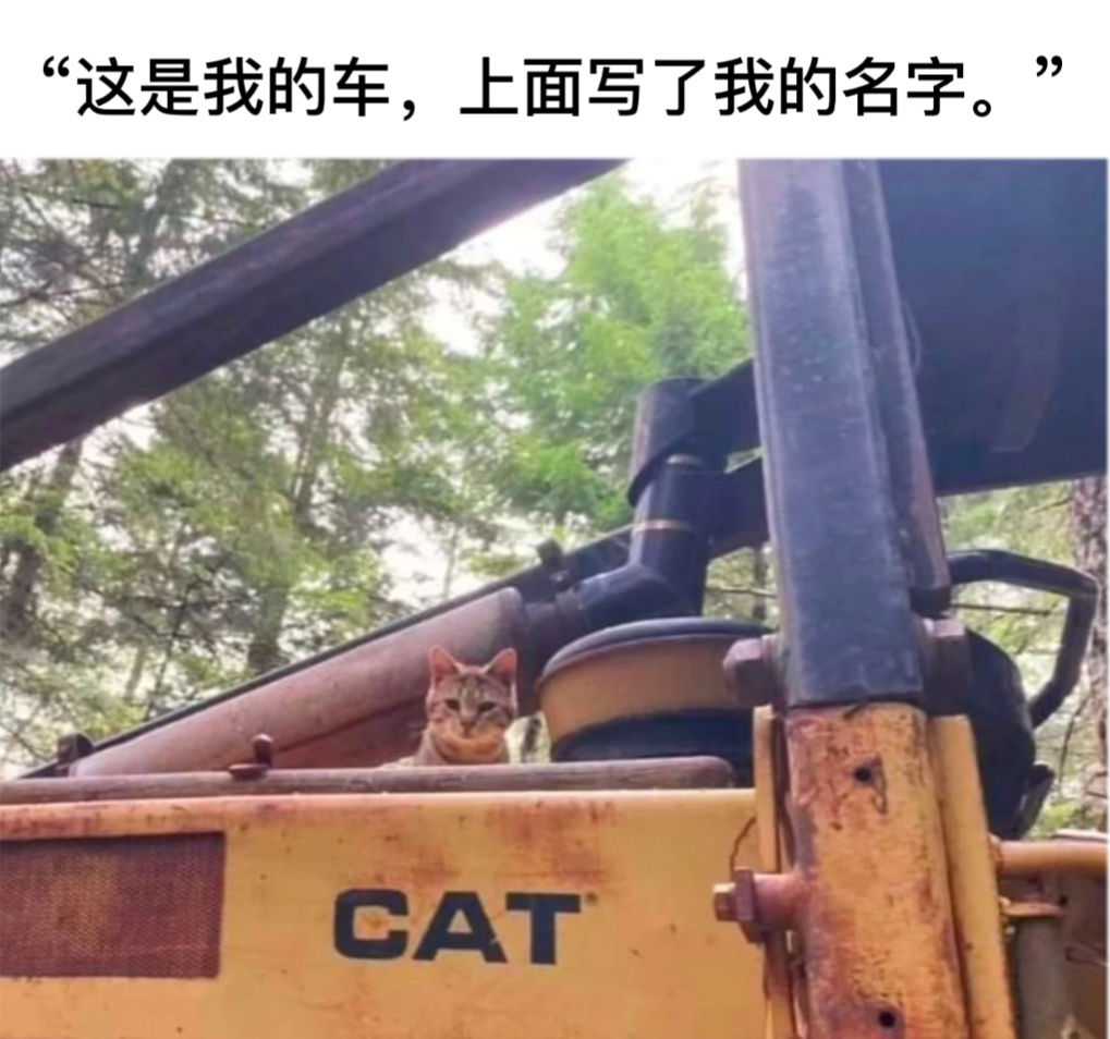 车不错啊老兄#今日memes# //#春日cityhappy计划# ​​​