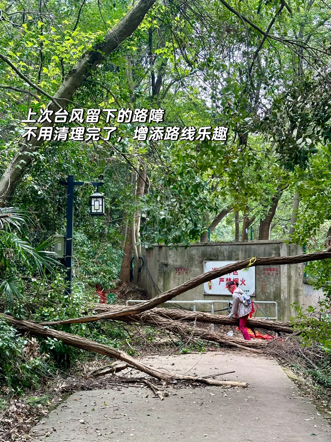 周末进山｜菜鸡暴走惠山一枝花