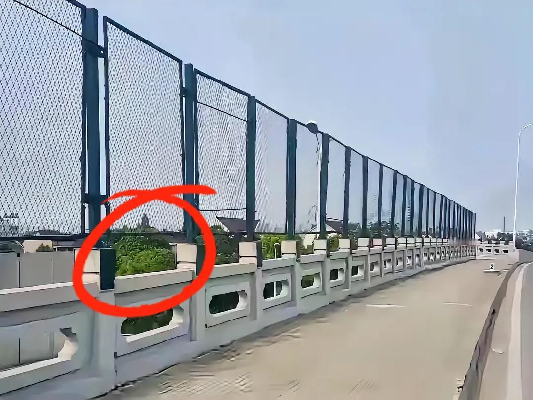 网上看到这样一张照片。一座大桥上安装了这种防护栏，目测高度有一两米，但是下面却留