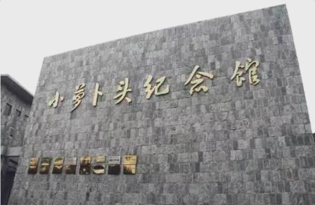 🍀1949年，毛人凤问蒋介石，白公馆关的八岁大的小孩该如何处理，蒋介石看了他一