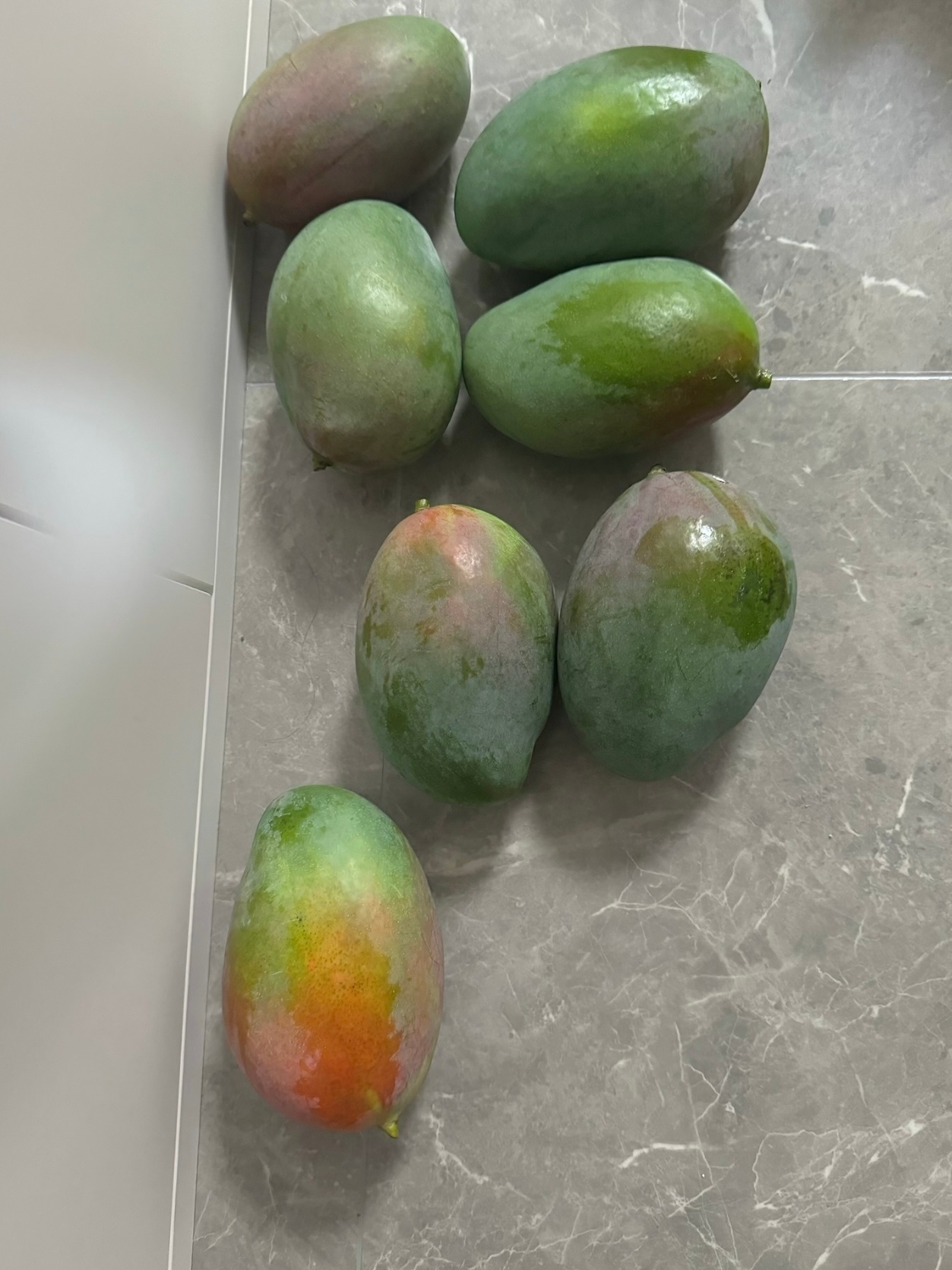 还得是 我发小啊！去四川旅游 不忘给我邮寄点攀枝花巨芒果这芒果是真大啊！像橄榄球