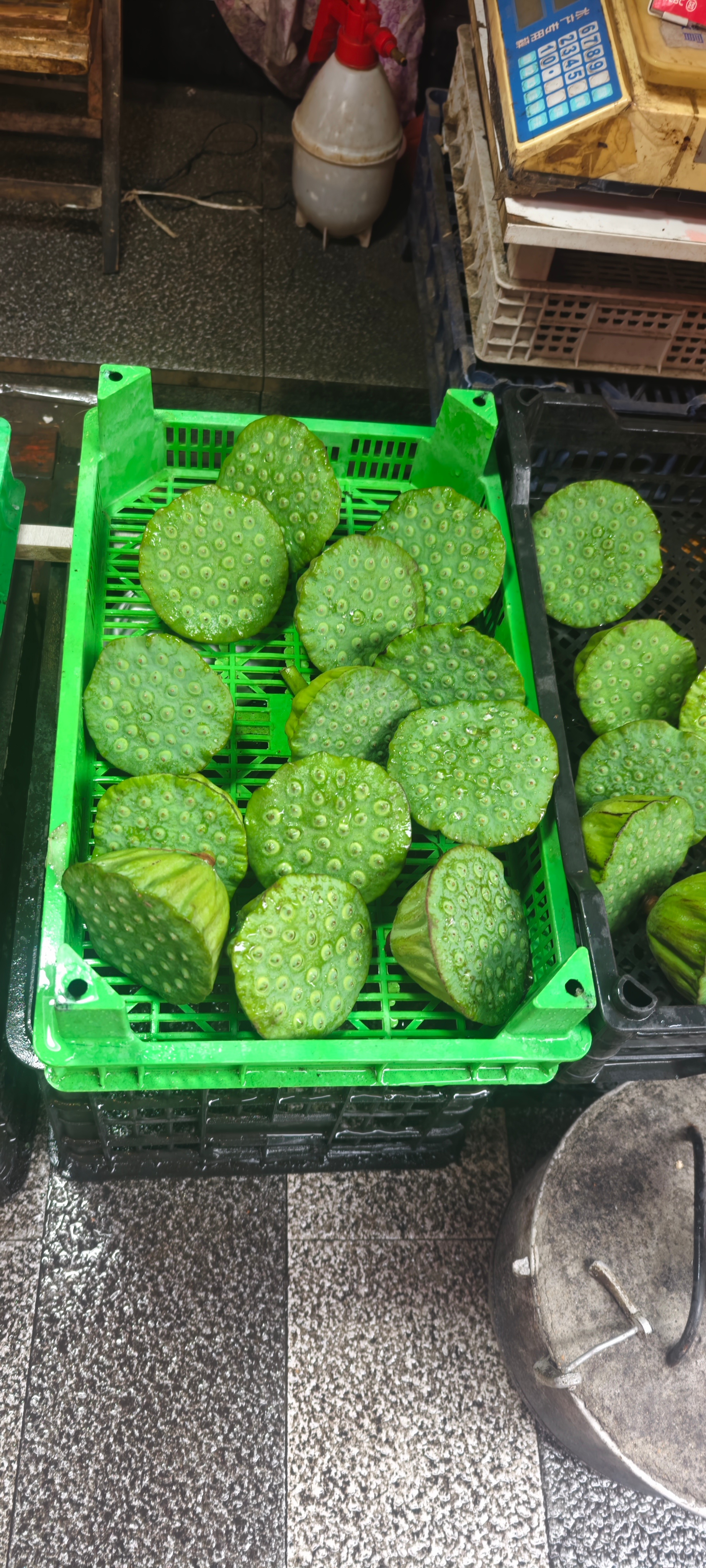 我为了拍这个莲蓬，被狗吓了两大跳