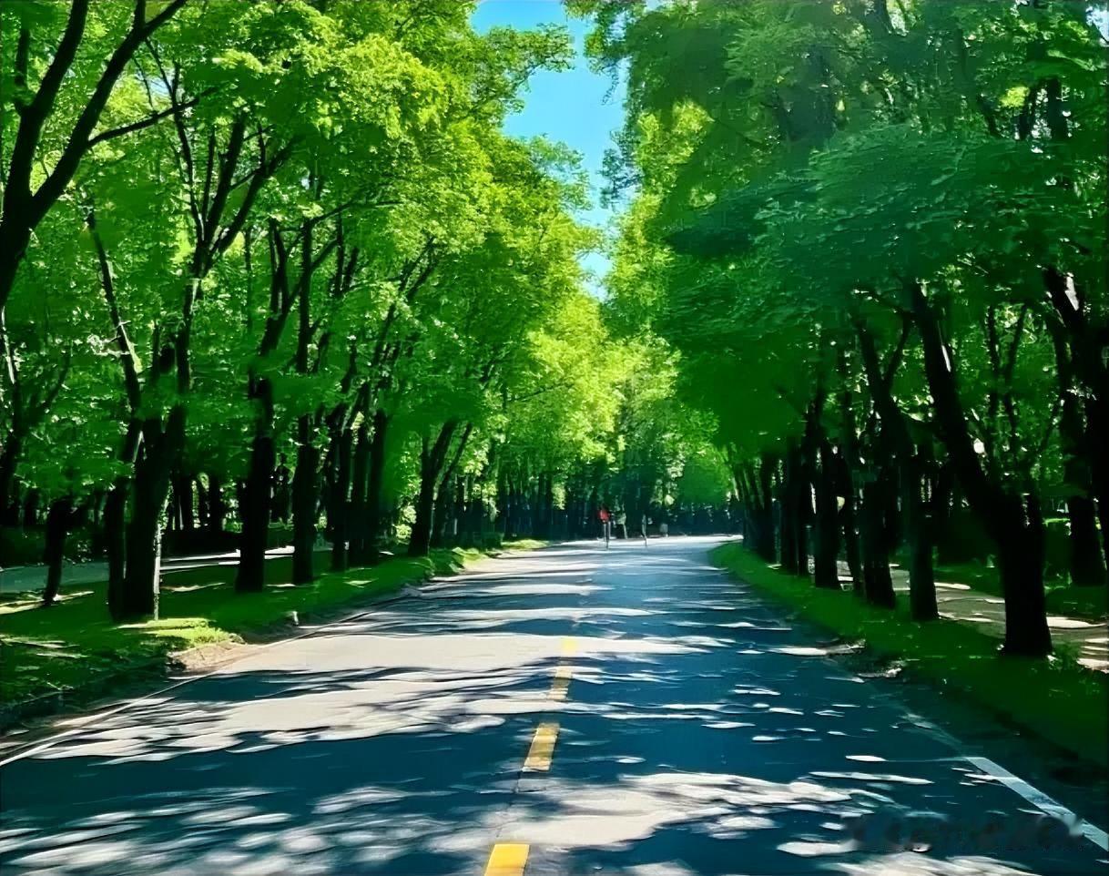 林荫避暑气，清泉静尘心。
伏夏勤珍重，安康伴古今。

盛夏伏天，热浪袭人。不妨寻