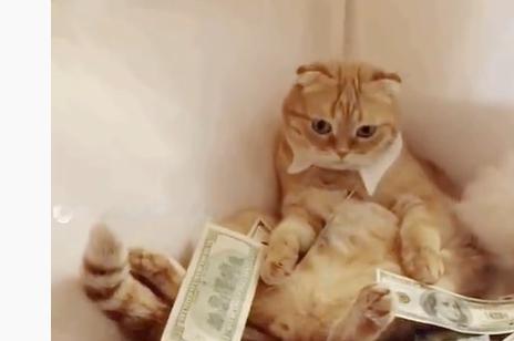 转赞，招财猫，财运飙升，大吉大利，好运福气多多！  