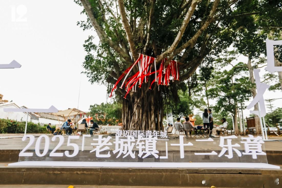 2025老城镇十二乐章系列活动：罗驿古村艺文展，跨领域融合新路径 