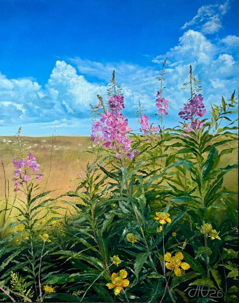 俄罗斯画家阿科三娜作品/夏日柳兰田 画作尺寸50/40