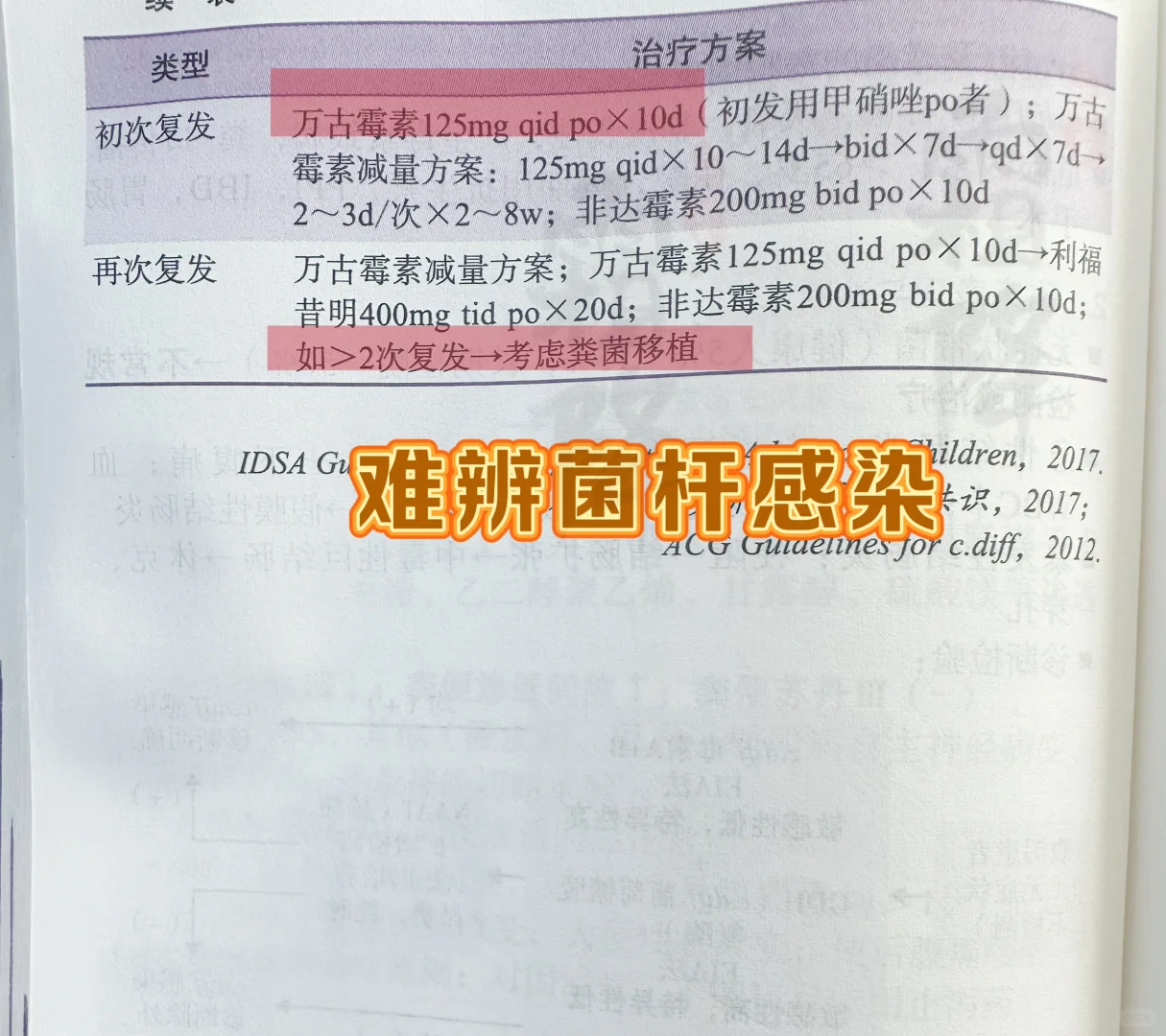 值班规培遇到难辨菌杆