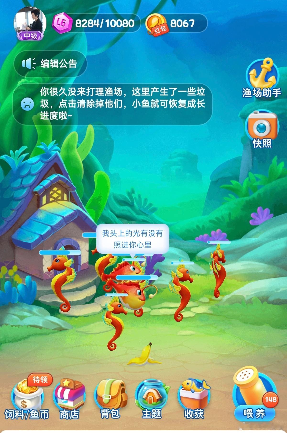哎呀，咋里面还有两只不一样滴？赶紧长大，我要养一群一模一样的鱼儿。 ​​​