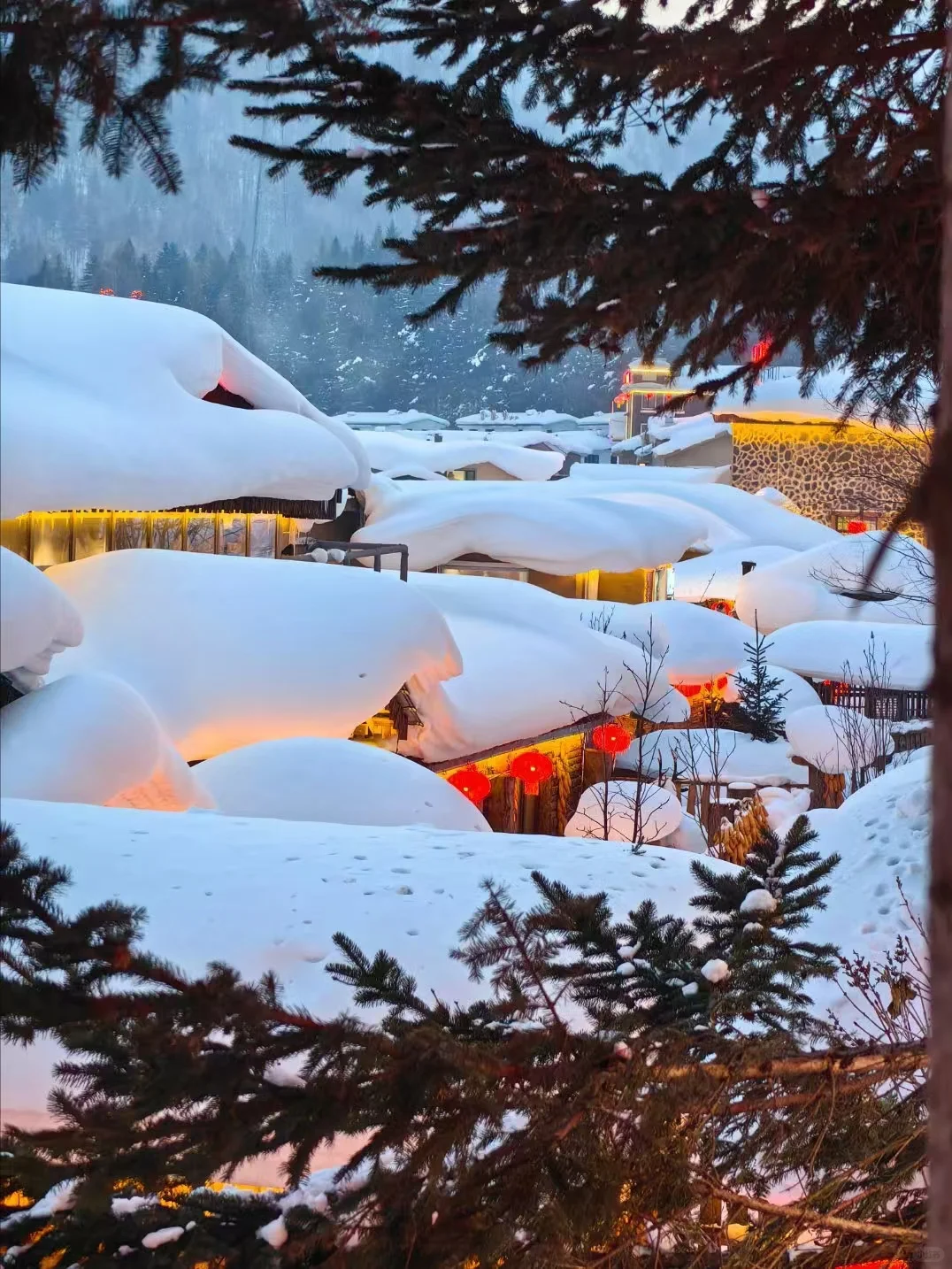 漠河雪国列车开售啦！8天7晚❄️单车单团✔