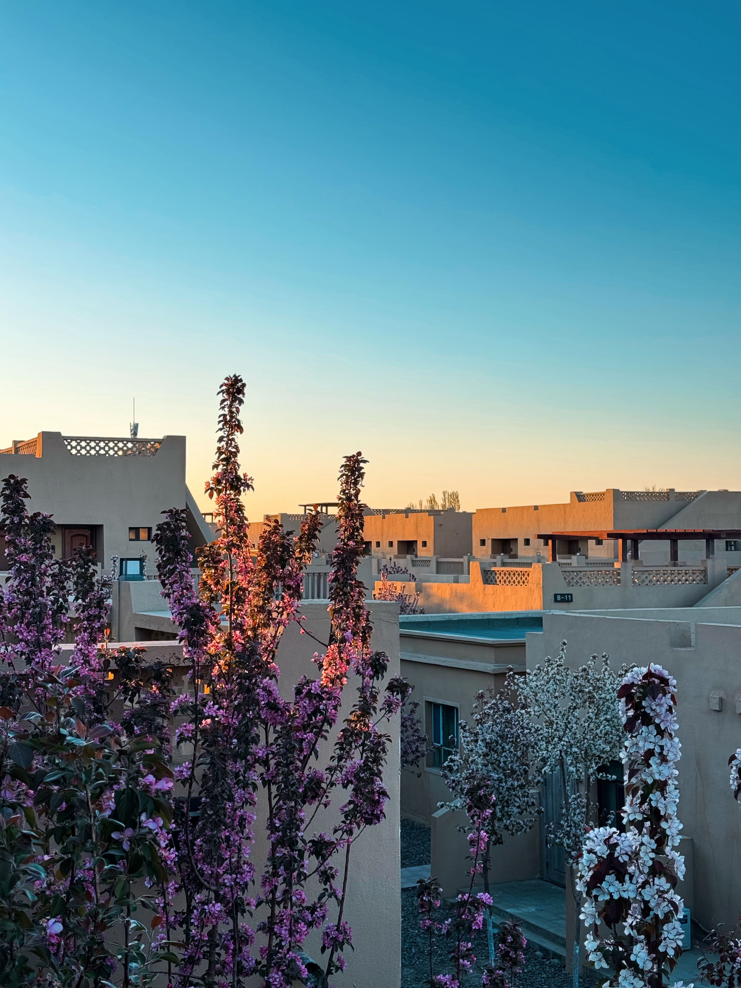 安静的克拉玛依