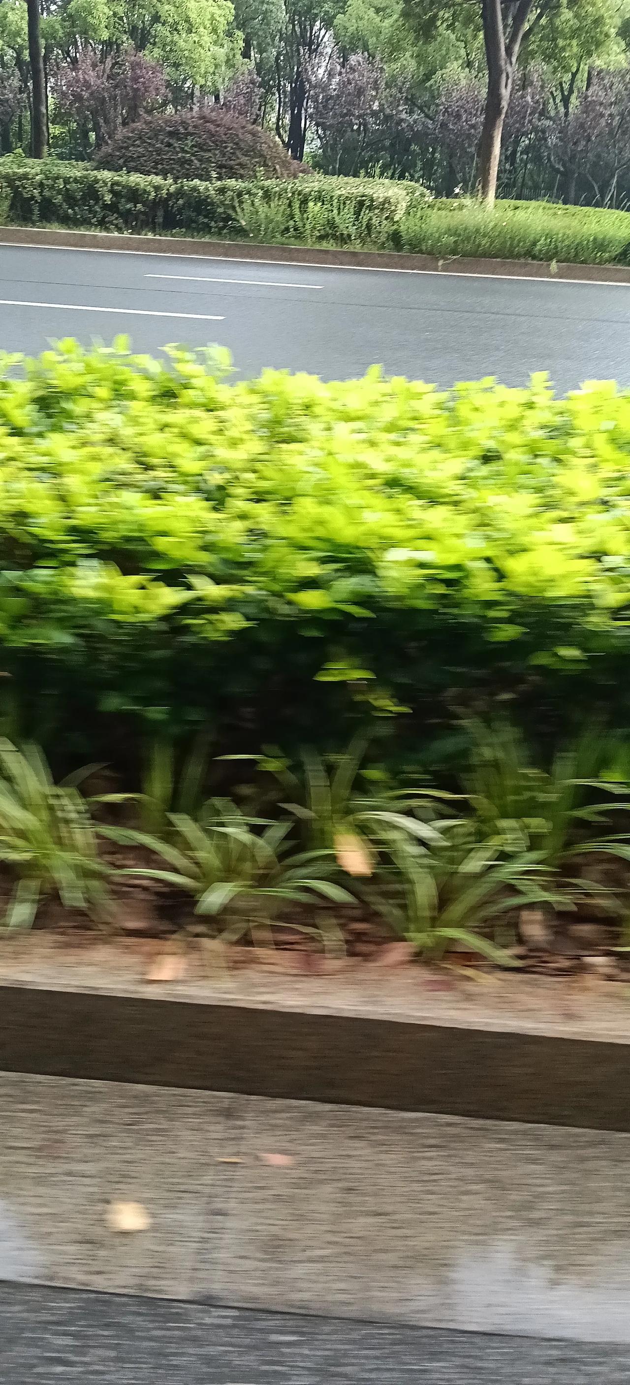 明朝的人口最多的时候是多少?
史学界主流观点认为，明朝人口峰值出现在万历中后期，