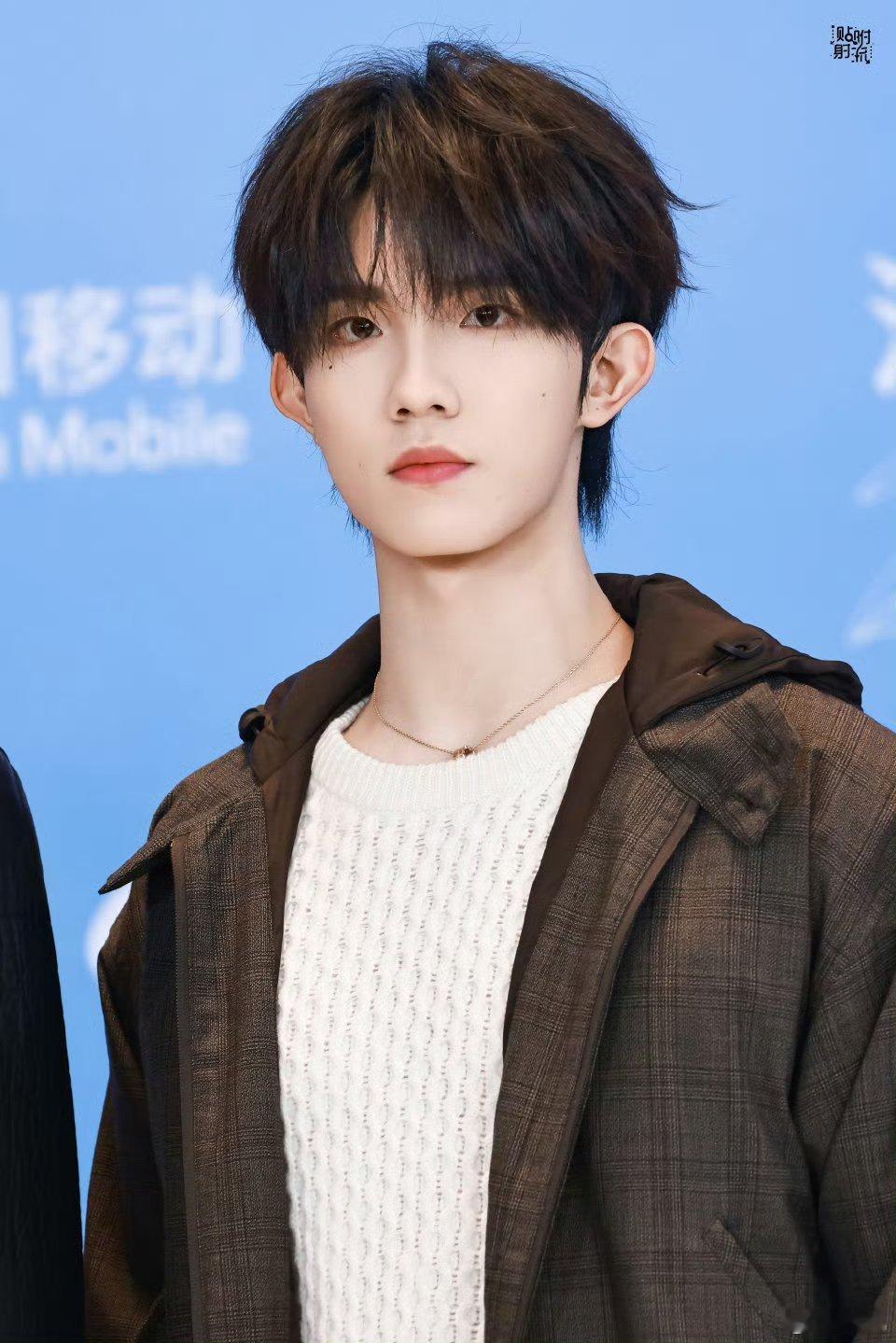 苏新皓红毯像是在发光 少年意气与优雅气质完美融合，红毯上一举一动都亮眼，这发光体