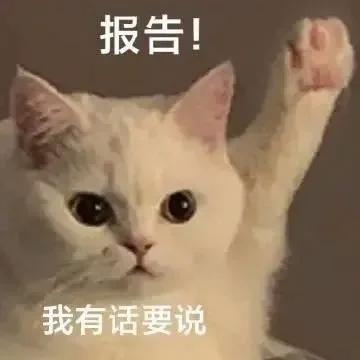 博君一肖 【瓜田唠嗑儿】--------------------一：嘴前公司、嘴