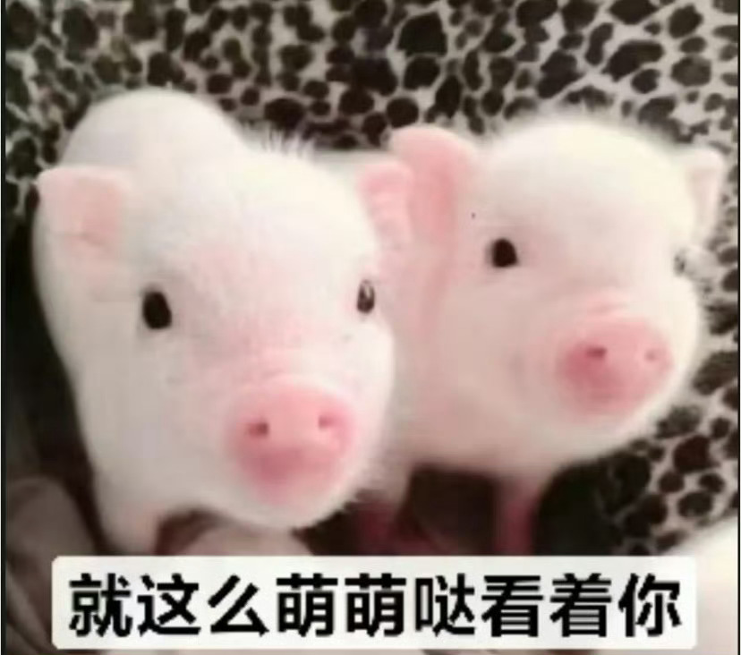 你俩好久下海