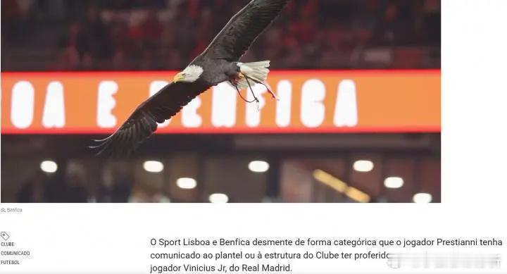 曝普雷斯蒂安尼已承认喊维尼修斯猴子！本菲卡严正辟谣：从未说过维尼修斯遭遇种族歧视