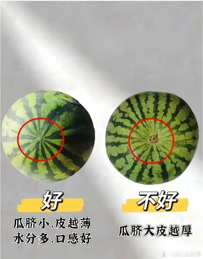 终于知道怎么挑选水果了 