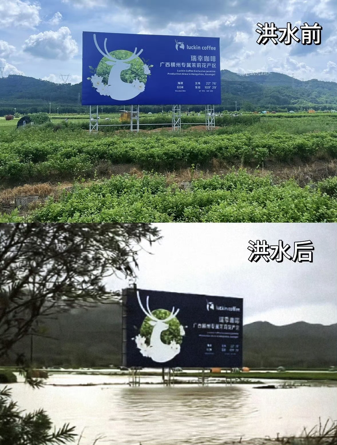 横州洪灾受台风美莎克影响，“世界茉莉花都”广西横州遭遇历史罕见特大洪灾，六蓝水库