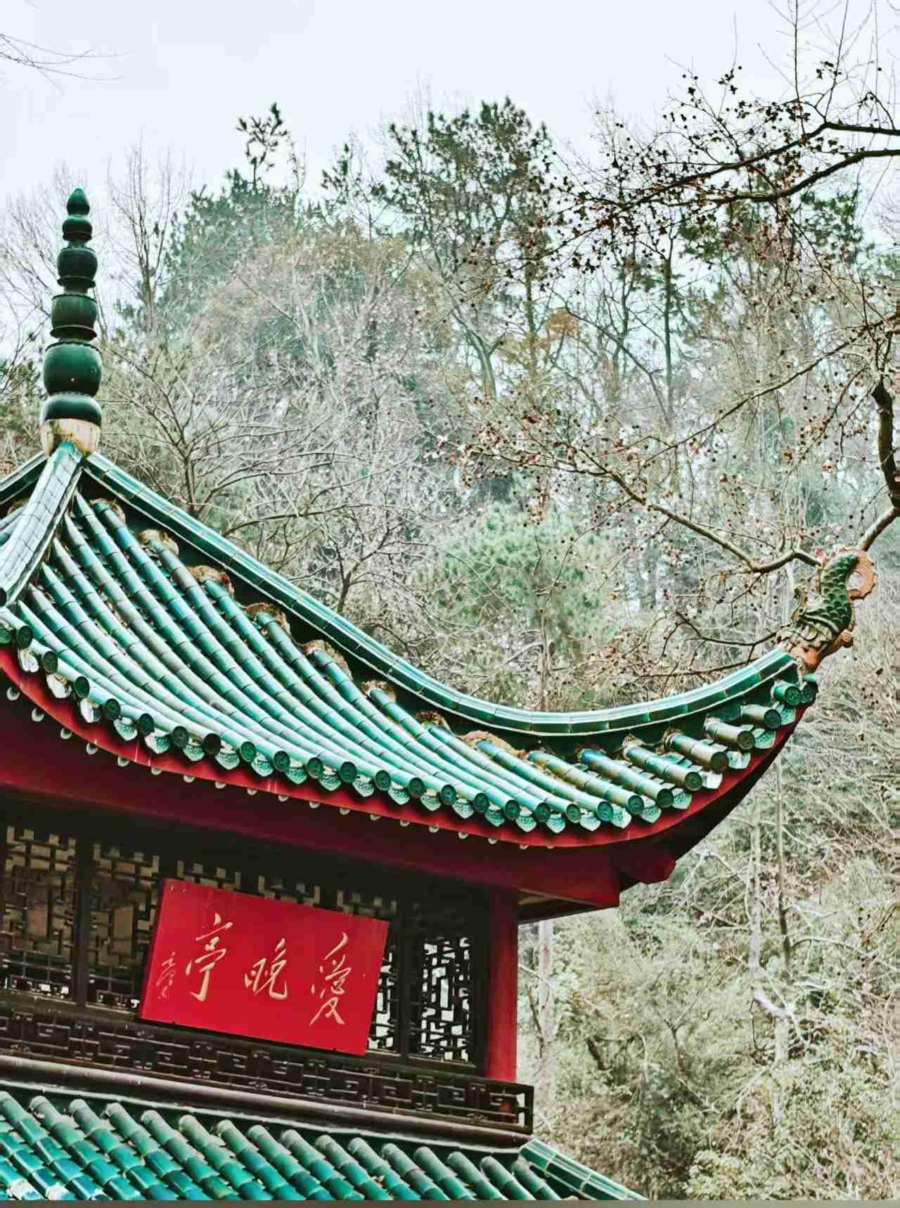 我的今日状态：😁轻松愉快
我这里的天气：☀️晴天