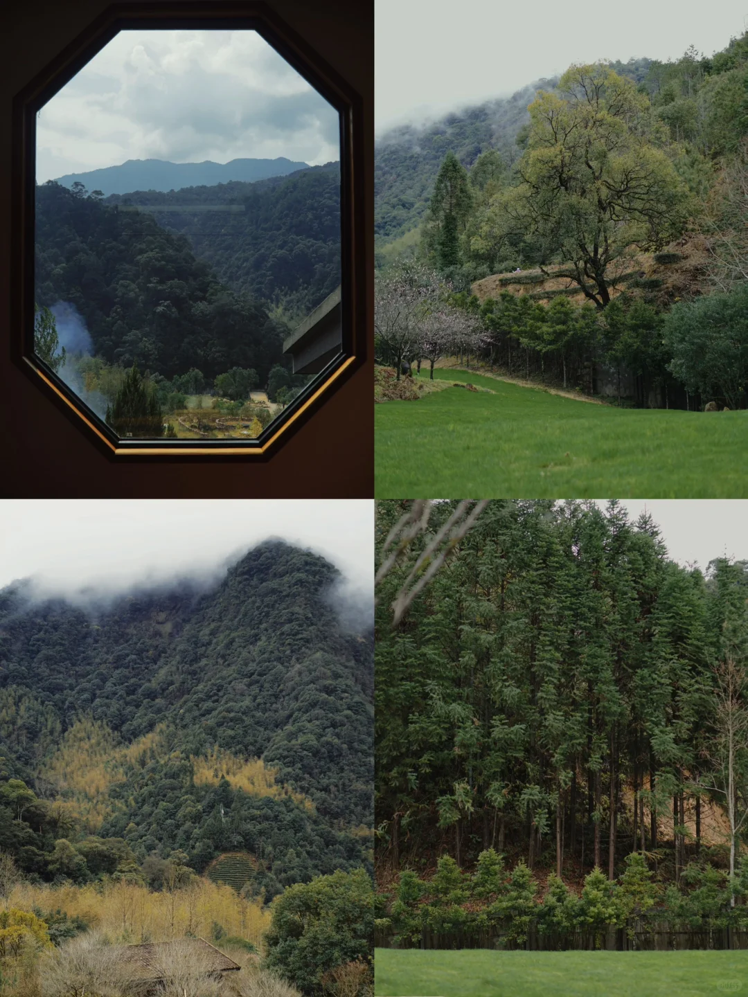 武夷山旅行攻略📸到武夷山小众秘境隐居山野