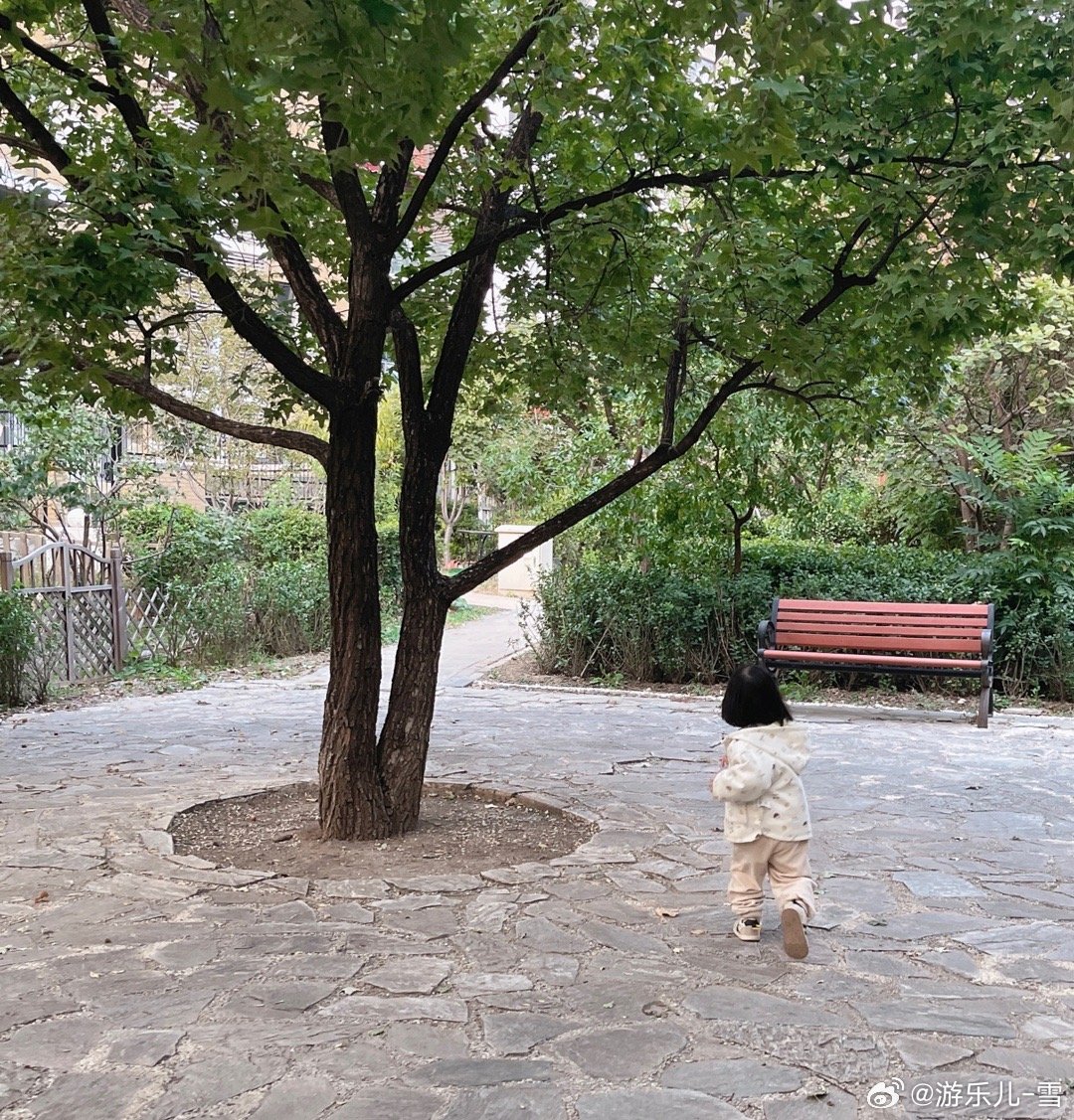从幼儿园回来，乔乔院里还跑了一圈，沙坑遇到了同学，互相打招呼[嘻嘻]。螃蟹越来越