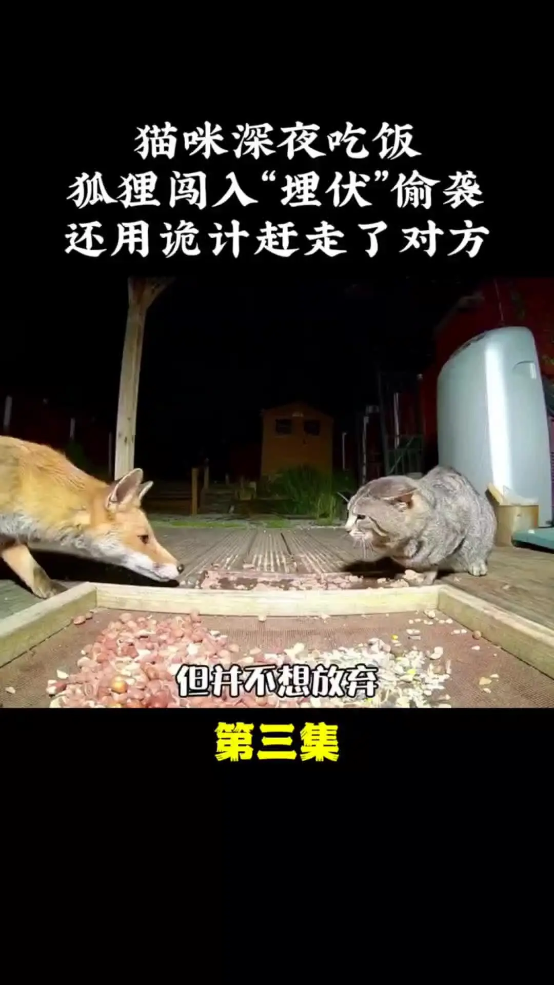 内容启发搜索 动物世界